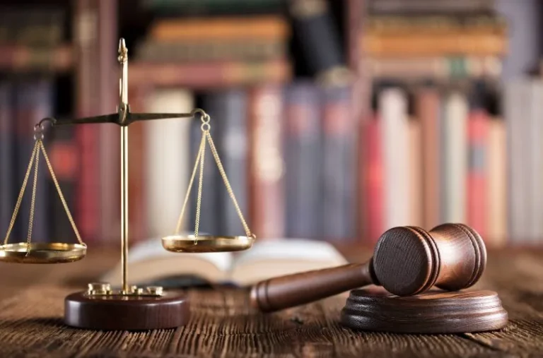 Criminal Law Justice System Overview and Legal Process Guide Criminal law justice system overview
