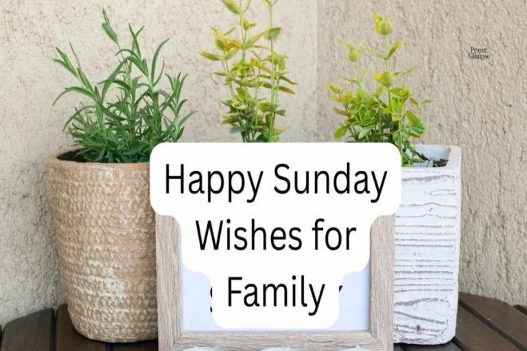 Sunday Wishes For Family: Warm Messages for a Happy Day Sunday Wishes For Family